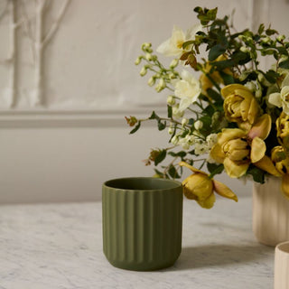 Beam Pot
