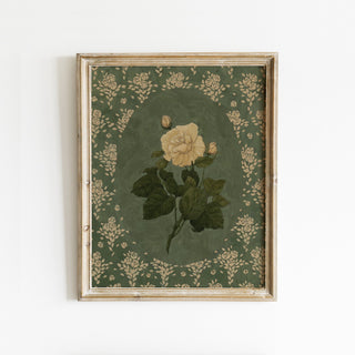 Antique Rose