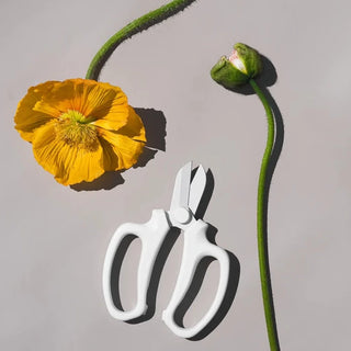 Flower Snip