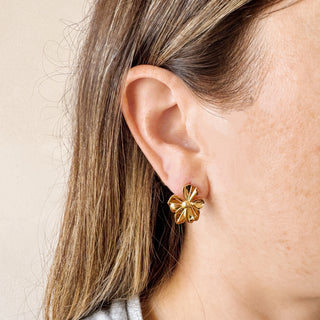 Violo Earrings