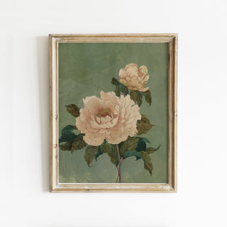 Peach Peony