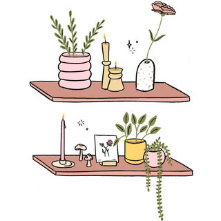 Plants & Other Pretty Things