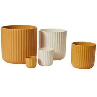 Beam Pot