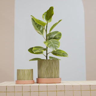 Melancia Pot + Saucer