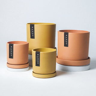 Kanso Designs Planter Pot + Saucer