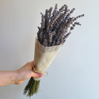 Dried Lavender Bunch