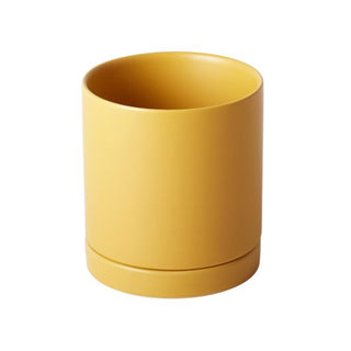 Romey Pot