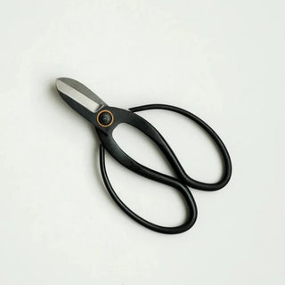 Ikebana Scissors