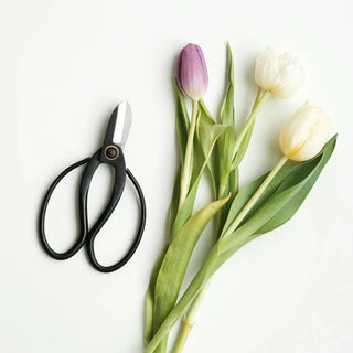Ikebana Scissors