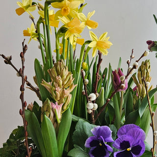 Indoor Spring Garden (Sunday March 22)